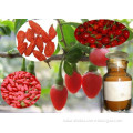 Goji Extract (Dried Goji Berry Extract)